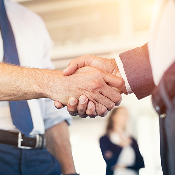 Alles aus einer Hand